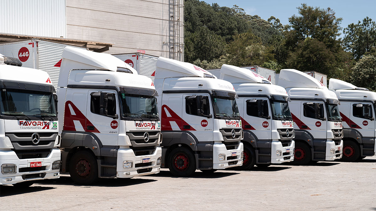 Caminhões modernos da Favorita Transportes alinhados lado a lado, demonstrando a renovação da frota da empresa, que prioriza a sustentabilidade, a eficiência operacional e a segurança dos motoristas com veículos atualizados e tecnologicamente avançados.