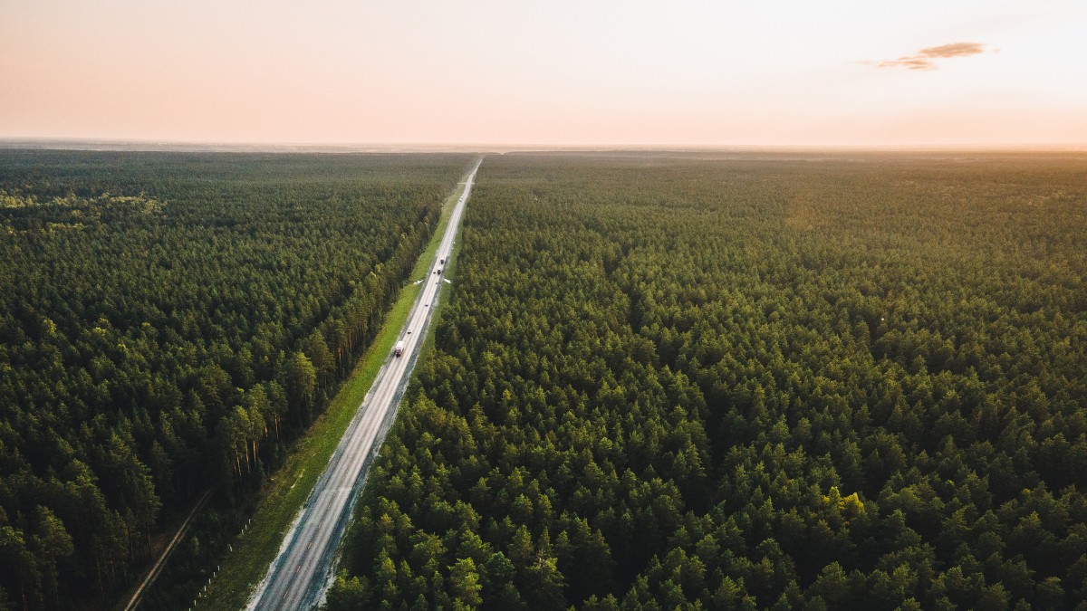 Rodovia cercada por extensa área verde vista de cima, simbolizando protagonismo ambiental e práticas sustentáveis na logística.