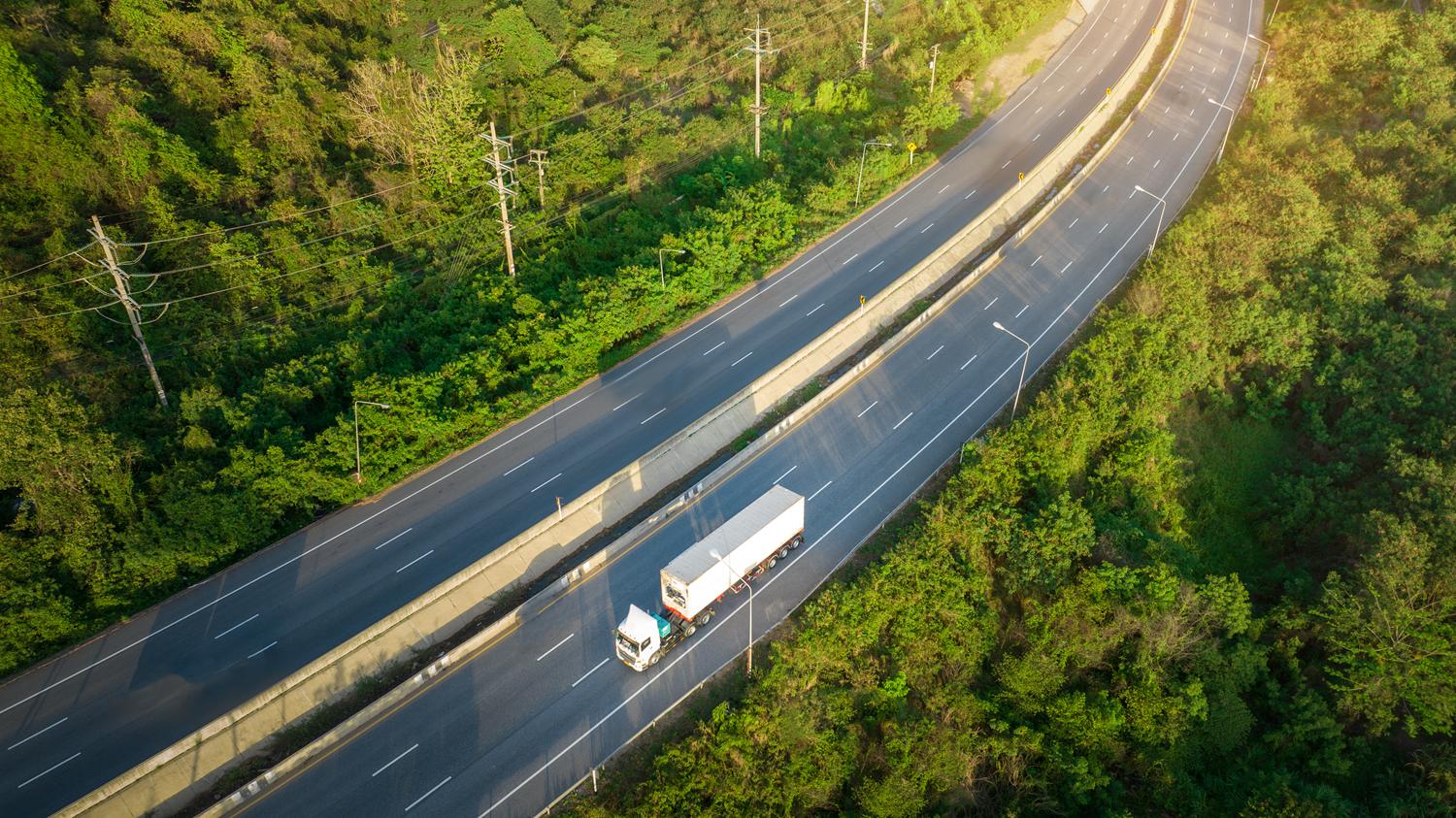 Caminhão na estrada cercada por vegetação.